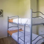 - Casa Roncus *