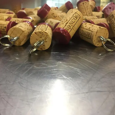 - Casa Roncus Capriva del Friuli