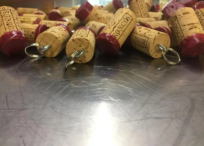 - Casa Roncus Capriva del Friuli